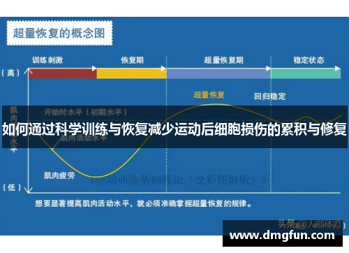 如何通过科学训练与恢复减少运动后细胞损伤的累积与修复